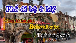 (P3)-Cùng khám phá phố đi bộ ở Tennessee Mỹ !