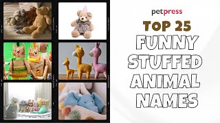 25 Funny Stuffed Animal Names That Are Just Too Cute 🧸 | PetPress