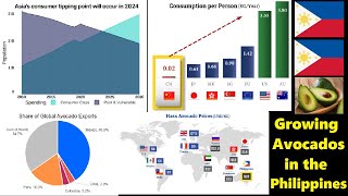 Growing Hass Avocados in The Philippines: A Case Study & Investment Analysis