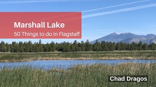 50 Things to do in Flagstaff / Marshall Lake