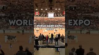 World Dairy Expo 2023! Edited by Cameron Wade  #farming #agriculture #dairyfarm #cows