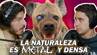 La Naturaleza Es Metal Y Densa | QPNPN