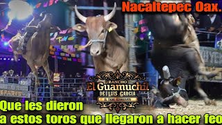 ¡Que les dieron a estos toros que llegaron a hacer feo! Rancho el Guamuchil en Nacaltepec Oaxaca