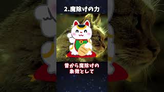 【ゆっくり解説】猫にまつわる都市伝説3選 #shorts