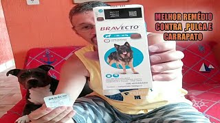 BRAVECTO , REMÉDIO PARA ACABAR COM PULGAS E CARRAPATO. (Será que é bom mesmo)