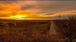 [MiniVlog] Chasing ducklings and catching the sunset at LIGO Hanford!