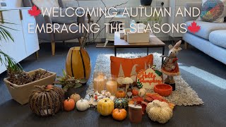 Autumn Decor - Embracing seasons of life - nurturing mental health - chats with UK Psychotherapist