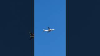 Emirates Airlines 777-300 #planespotting #viral #emiratesairlines #shorts