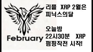 리플xrp 새로운2월달의시작 XRP 피닉스의 달이될것! 암호화폐 리플 비트코인 스텔라