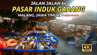 Pasar Induk Gadang, Walking tour Pasar Tradisional di Kota Malang, Jawa Timur, Indonesia 🇮🇩