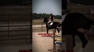 идея моя. #equestrian #fyrシ #horse #viral #tiltok #edit #shorts #rec #activ #fyrシ