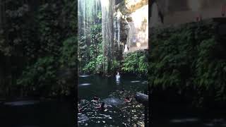 Cenote ik kil (parte 2)