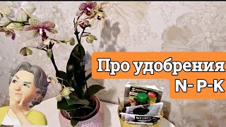 🌱Про Удобрения для растений. Что такое N-P-K?