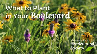 What to Plant in Your Boulevard