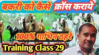 Bakri Ko Kab Gabhin Karaye |Training Class 29|Vimal umrao Training Class|