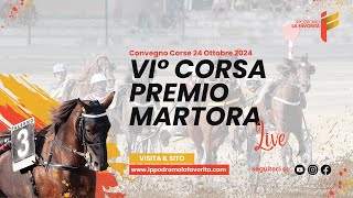 Live VI° Corsa del 24 Ottobre 2024 - 4 Anni ed oltre - Metri 1600