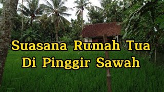 Suasana Senja Rumah Tua di Pinggir Sawah