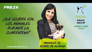 ¿LOS ANIMALES CONTAGIAN EL CORONAVIRUS?