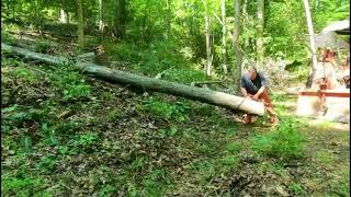 saw milling Maple log lumber #sawmilling