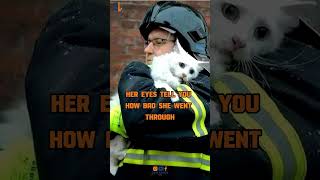 Her eyes tell you #cat #cats #catlover #catvideos #shorts #animals #animal