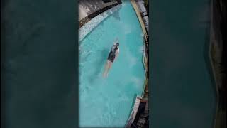 Freestyle Swimming Technique