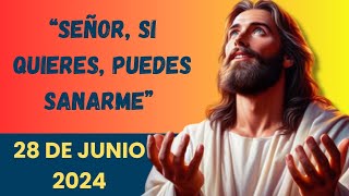 Evangelio De Hoy Viernes 28 Junio 2024 l Redlexion l Biblia l San Mateo 8, 1-4