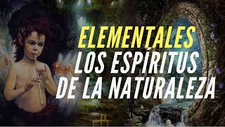 ELEMENTALES, LOS ESPÍRITUS DE LA NATURALEZA