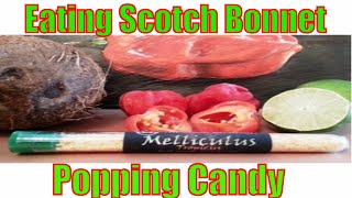 Eating Some Melliculus Scotch Bonnet Popping Candy