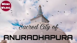 Sacred City of Anuradhapura | MINI VLOG