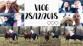 Lolli guida? Vlog al maneggio | #PerniNatale | Pernilla Iperti