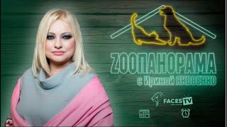 LIVE: ZООПАНОРАМА с ИРИНОЙ ЯКОВЕНКО