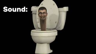 Skibidi toilet sounds, flush.