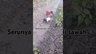 Begini nih cari ikan di sawah 😂 #shorts #short #youtubeshorts #youtube #fyp @AnakHebat12