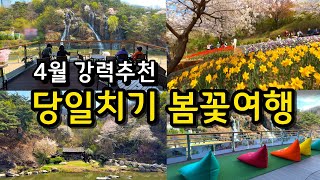 4월 놓치면 후회하는 당일치기 봄나들이 여행지 (입장료X, 대중교통O) /벚꽃 명소 , 폭포 카페 (축제 3월30일~4월7일)  (서대문구 홍제폭포,연희숲속쉼터,안산허브원)