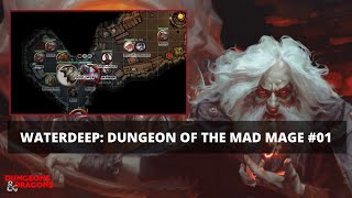 WATERDEEP: DUNGEON OF THE MAD MAGE #01 BRIGA DE BAR