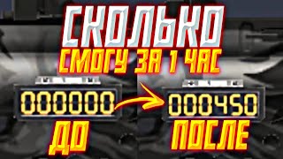 СКОЛЬКО КИЛОВ Я СМОГУ СДЕЛАТЬ ЗА 1 ЧАС ИГРЫ В СТАНДОФФ2