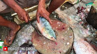 Bangladesh ilish fish market, Big Hilsa fish cutting skills in Bangladesh fish bazar