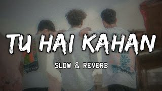 Tu Hai Kahan | Slow & Reverb | AUR | Raffey | Usama | Ahad | Lofi Ki Duniya