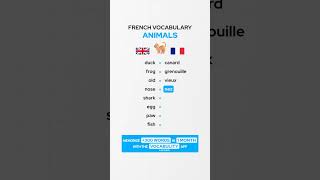 Le vocabulaire anglais des animaux 🇬🇧