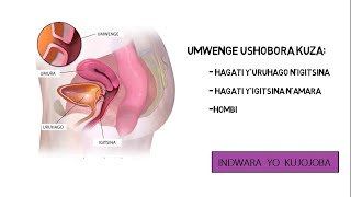 Indwara yo kujojoba: iterwa ni iki, twayirinda gute