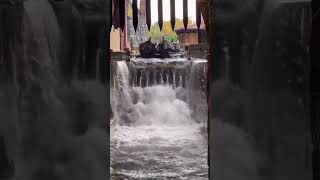 WORLD’S STEEPEST WATER RIDE DROP! #themepark #waterride #waterpark #crazy