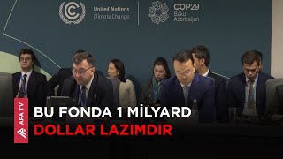 10 səhmdar ölkə donor olduqdan sonra Fəaliyyət Fondu işə başlayacaq – APA TV