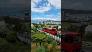 Wellington city view | New Zealand #shorts #travel #newzealand #Wellington