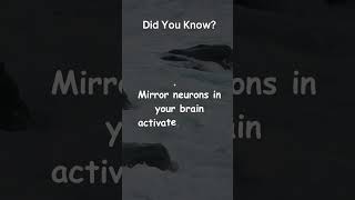 The Power of Mirror Neurons