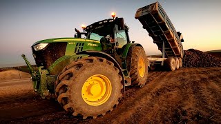 JOHN DEERE 6215R aux betteraves ! Ropa tiger ! 🤩