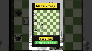 Telegram: Albinachess #chess #шахматы #chorts