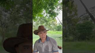 Papaya theft #funny #comedy #memes #tiktok #humor #shorts