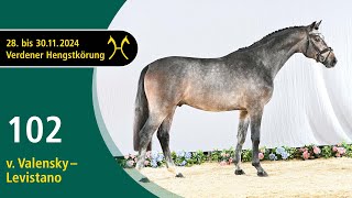 No. 102 Stallion by Valensky - Levistano | Verden Stallion Licensing 2024- Jumping - Nov. 29/30