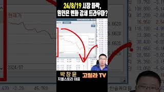 24/8/19 국내 증시 지수 하락 원인, 엔화 강세 속 떠오르는 엔캐리 청산 급락 트라우마?  #주식 #시황 #경제