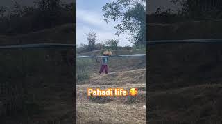 #pahadi #life #lifestyle #hardworking #youtube #shortsfeed #shortvideo #shorts #short #viral #share